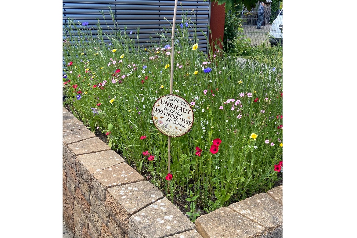 Bienenwiese1.jpg