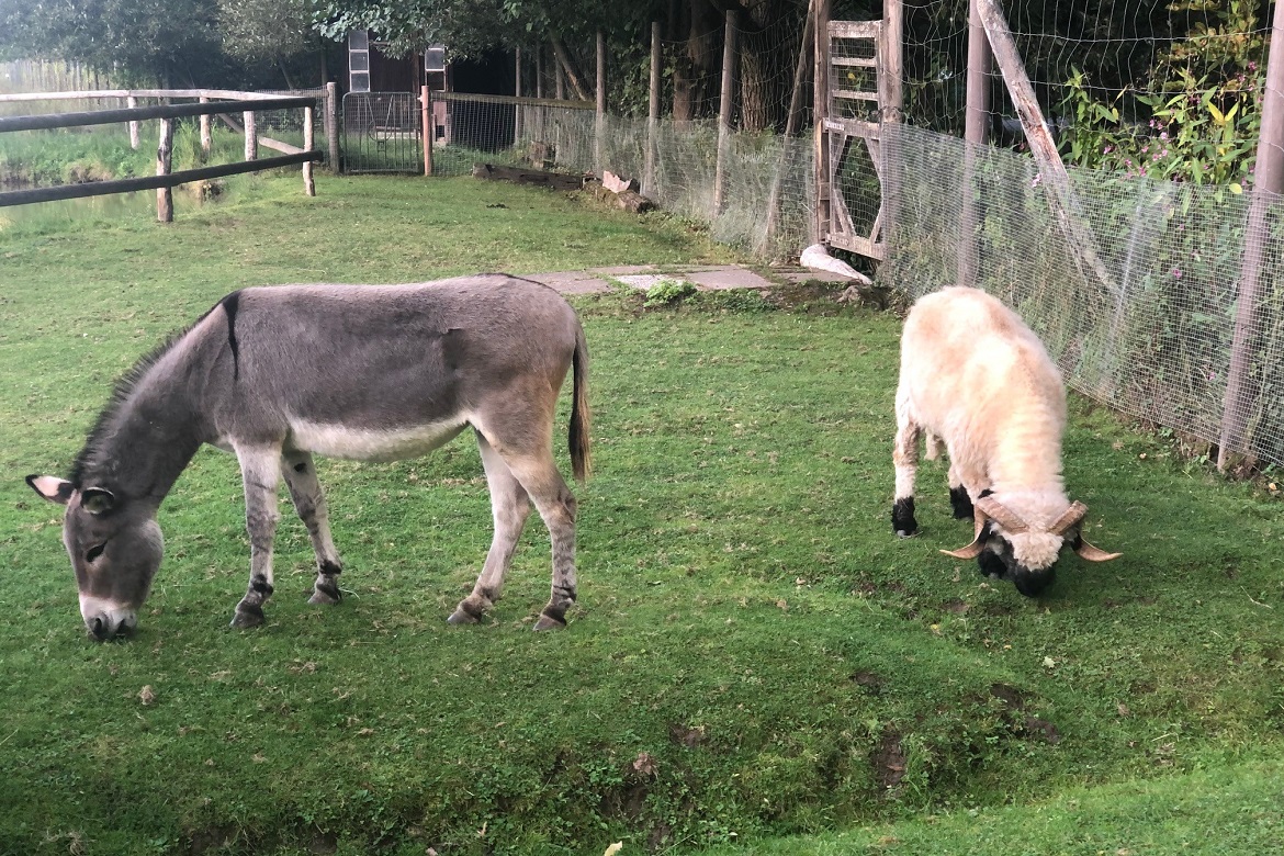 Wildpark 7.jpg