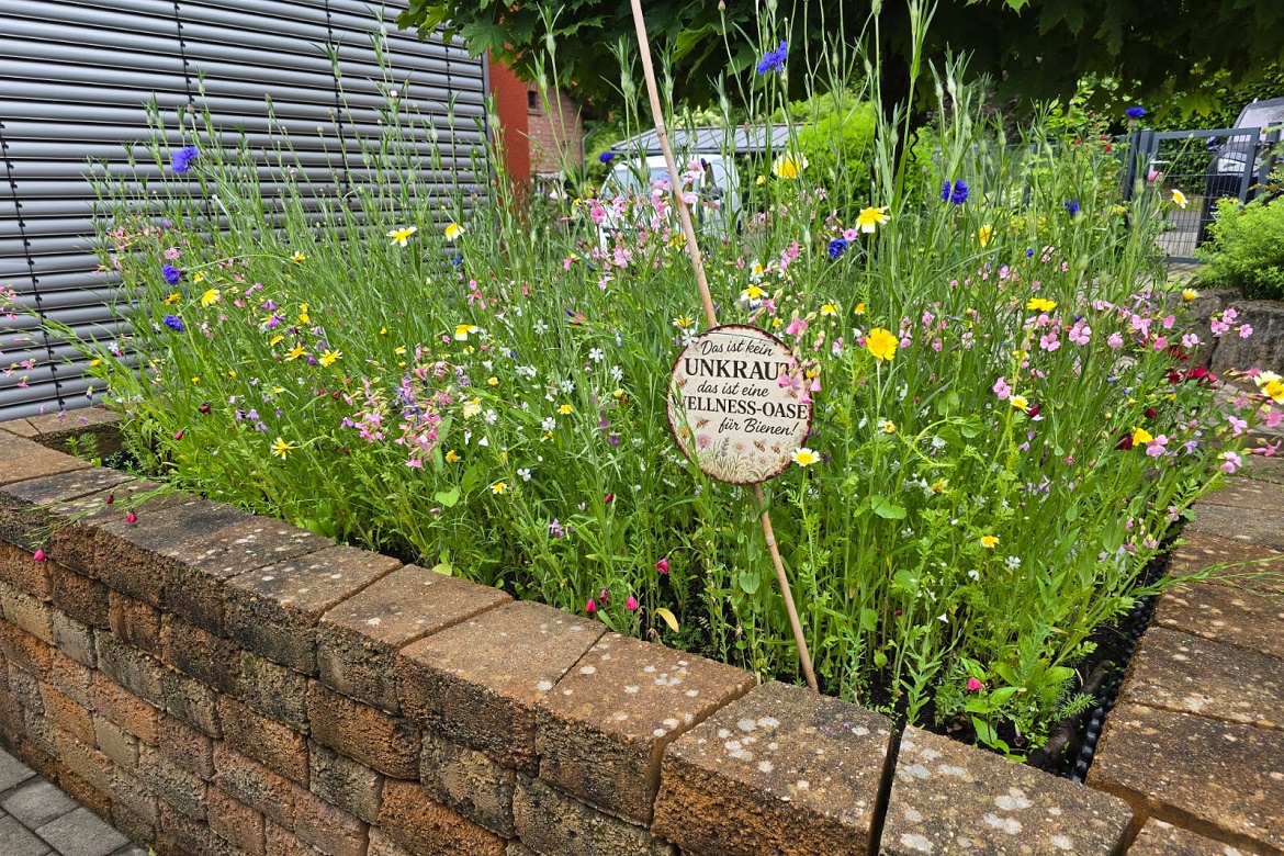 Bienenwiese2.jpg