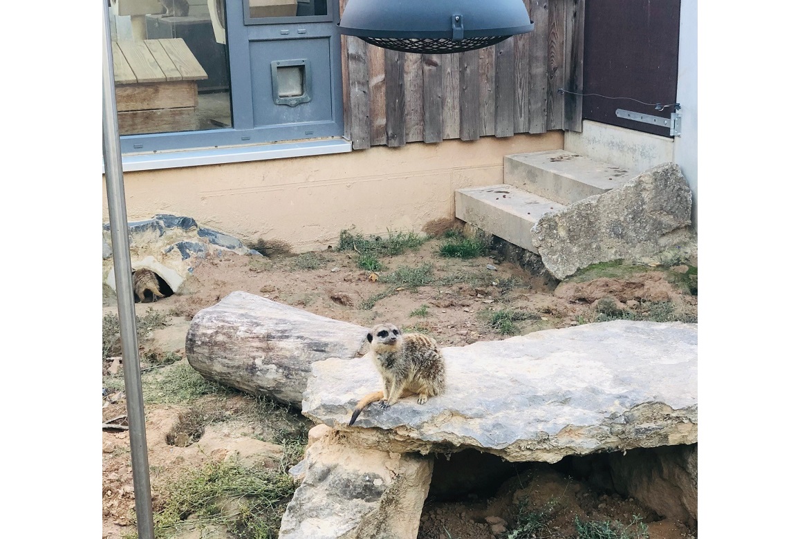Wildpark 6.jpg