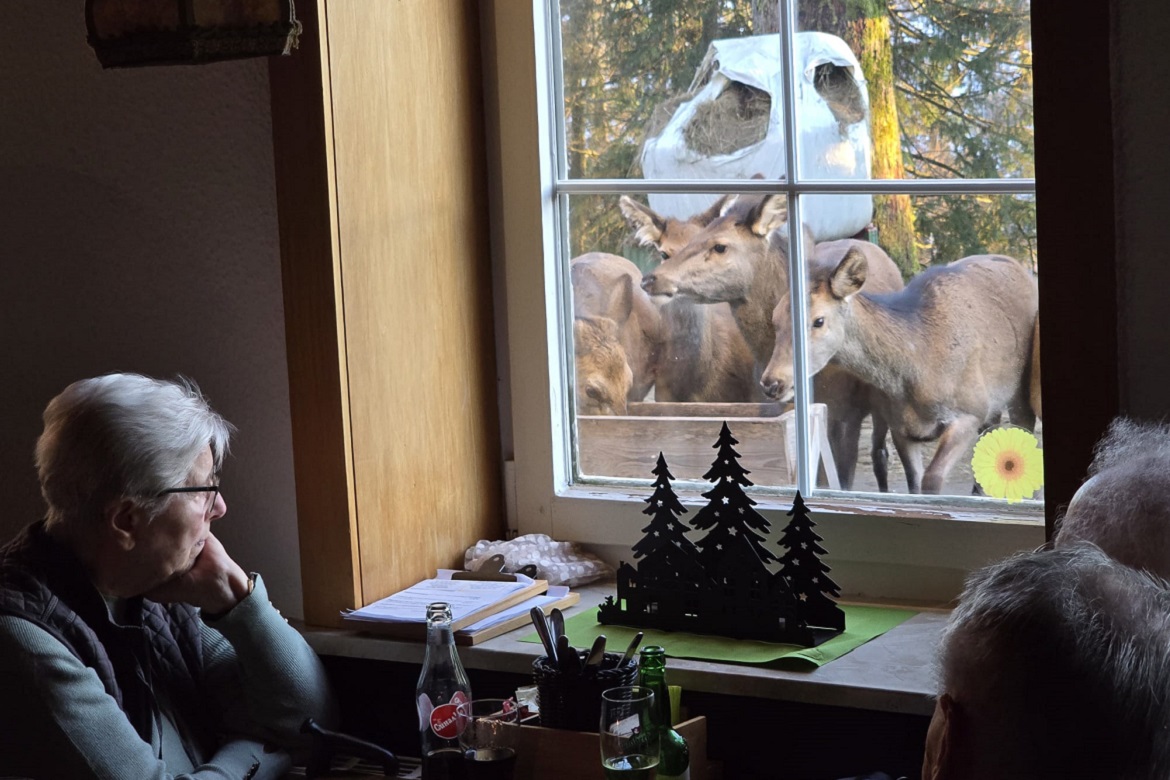 Abendliche Wildtierfütterung Barbis1.JPG