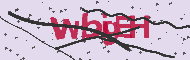 Ungültiger Sicherheitscode
